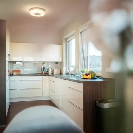 Penthouse Mit Schoenem Moselblick In Metternich *