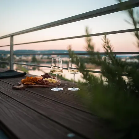 Apartman Penthouse Mit Schoenem Moselblick In Metternich Koblenz