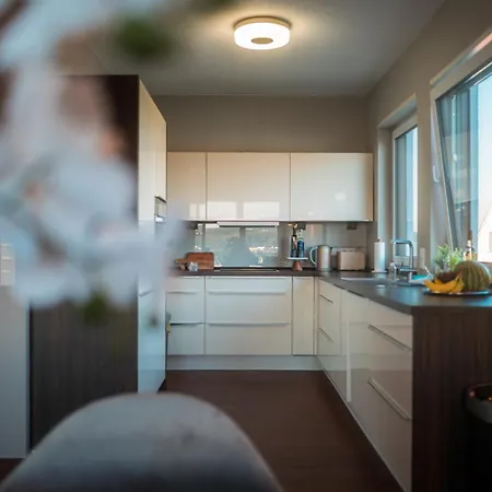 Penthouse Mit Schoenem Moselblick In Metternich * Koblenz