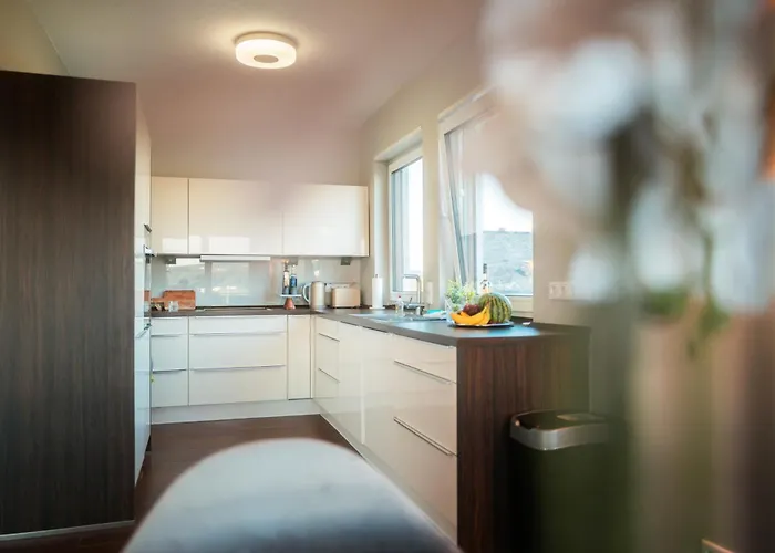 Penthouse Mit Schoenem Moselblick In Metternich *