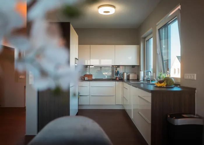 Penthouse Mit Schoenem Moselblick In Metternich * Koblenz (Rhineland-Palatinate)