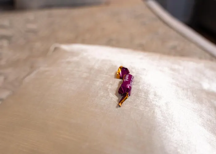 Penthouse Mit Schoenem Moselblick In Metternich Koblenz (Rhineland-Palatinate)